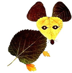 【招募令】小記者第六場(chǎng)主題活動(dòng)“遇見(jiàn)秋天”系列之“樹葉粘貼”等你挑戰(zhàn)！